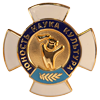 Золотой знак отличия "Юность, Наука, Культура"